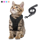 Coleira Ajustável Para Gatos - Brazilis 