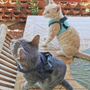 Coleira Ajustável Para Gatos - Brazilis 