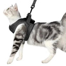 Coleira Ajustável Para Gatos - Brazilis 
