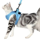 Coleira Ajustável Para Gatos - Brazilis 