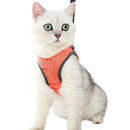 Coleira Ajustável Para Gatos - Brazilis 