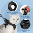 Coleira Ajustável Para Gatos - Brazilis 
